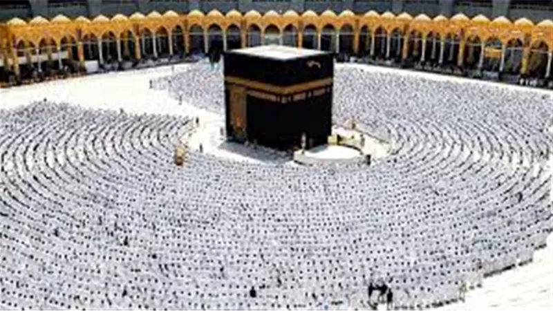 تضمن سلامة الحجاج.. الشروط الكاملة لتنفيذ رحلات الحج السياحي البري 