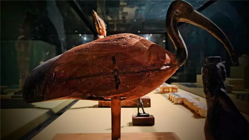 متاحف مصر تحتفل باليوم الدولي للتعليم.. قطع أثرية تحكي قصة العلم والمعرفة