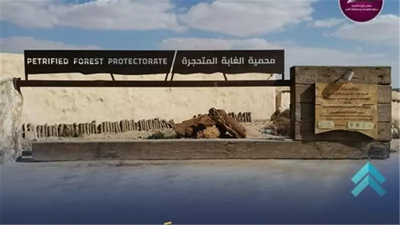إرث طبيعي عمره 35 مليون عام.. مصر تجهز متحفا مفتوحا للغابة المتحجرة بالتجمع