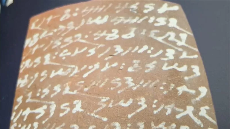 متحف النوبة يحتفل باليوم العالمي للتعليم.. رحلة عبر الكتابة في مصر القديمة 