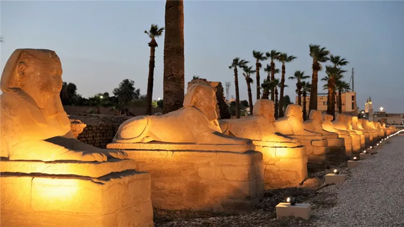 طريق الكباش..قصة الطريق الذي أثار دهشة العالم وخصص للاحتفالات الكبري