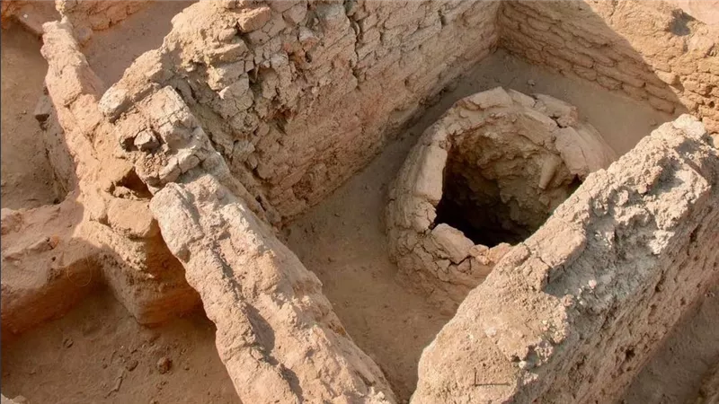 صوامع غلال من 4000 عام في كوم أمبو تكشف عبقرية المصري القديم في إدارة الموارد