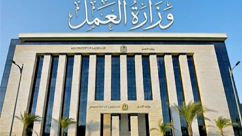 2600 فرصة عمل جديدة بقطاع الإنشاءات والمقاولات -تفاصيل