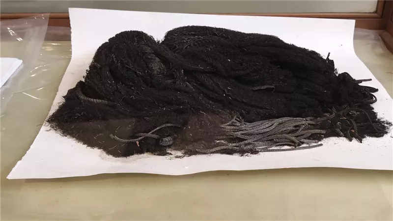 باروكة شعر من مصر القديمة.. أناقة ملكية تكشف أسرار الجمال في المتحف المصري
