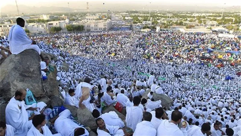 تفويج وتصعيد.. جبل عرفات في انتظار حجاج بيت الله الحرام