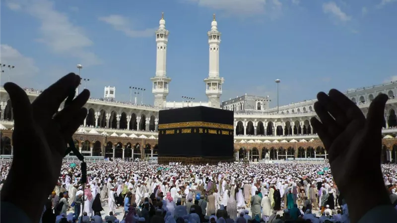 ماذا تناقش غرفة شركات السياحة بشأن موسمي العمرة والحج 1448ه‍ ؟