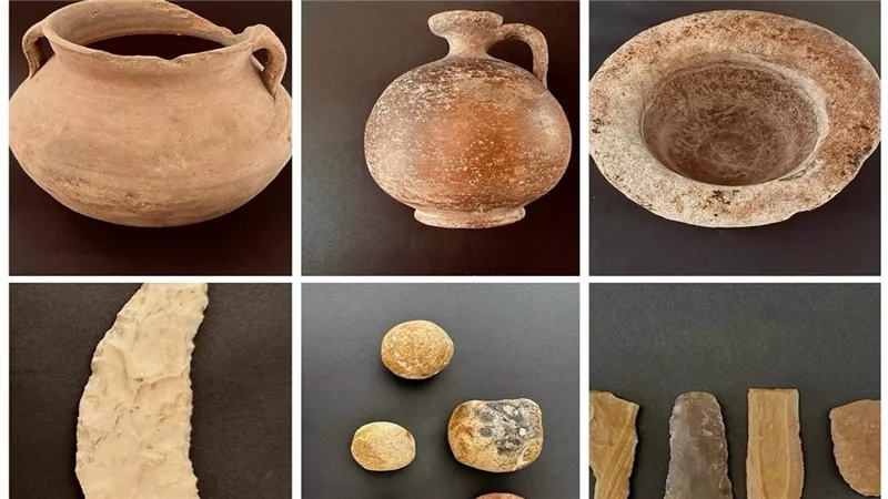 خنزير بري وتوابيت ملونة.. مفاجآت الكشف الأثري الجديد في كوم عزيزة بالبحيرة