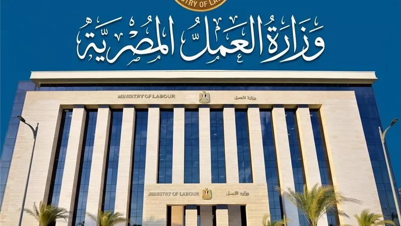7 توجيهات عاجلة من الحكومة للشباب بشأن فرص العمل بالخارج