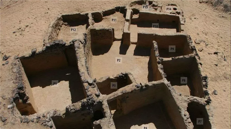 3500 عام من الأسرار.. كشف الواحات الجديد يعيد كتابة تاريخ عصر النهضة بمصر
