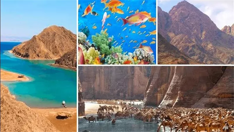 المحميات الطبيعية 
