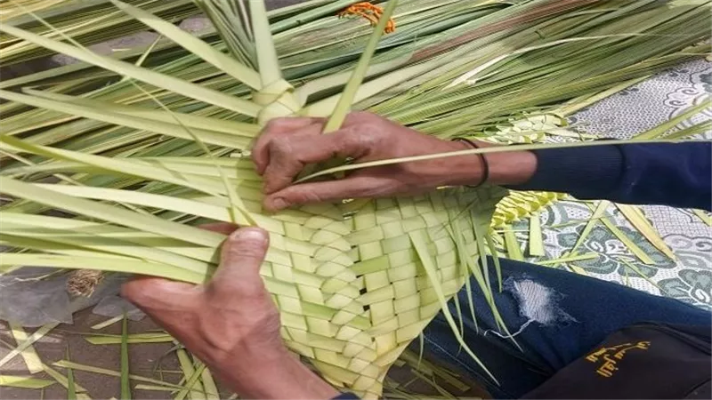 صناعة السعفيات في مصر، حرفة تقليدية تقود التراث الثقافي غير المادي لليونسكو
