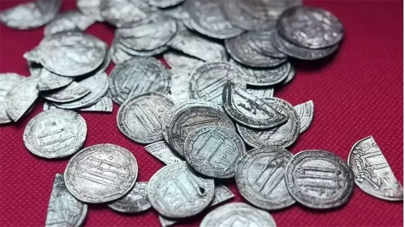 العثور على 59 درهما فضيا يكشف أسرار التجارة بين العباسيين وشمال أوروبا