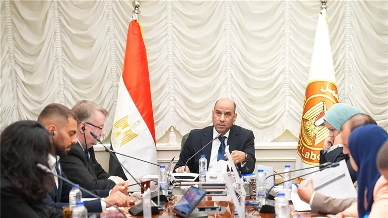 إعداد خطة تنفيذية لإطلاق البرنامج الوطني للعمل اللائق في مصر