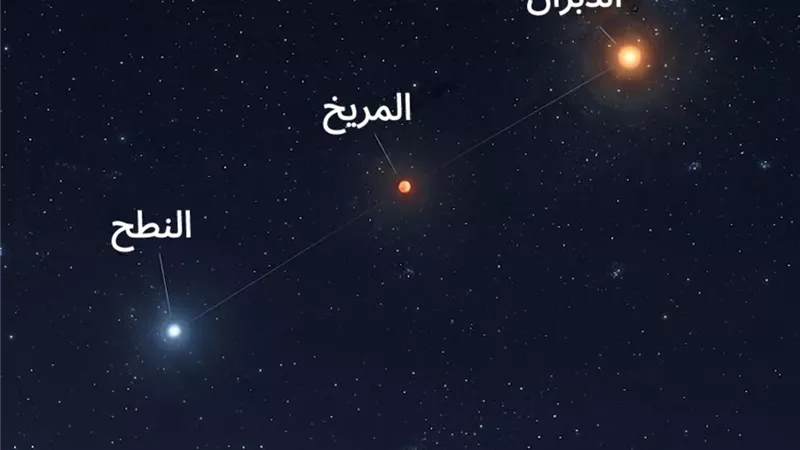 فجر الأربعاء.. كوكب المريخ يتوسط نجمي البدران والنطح
