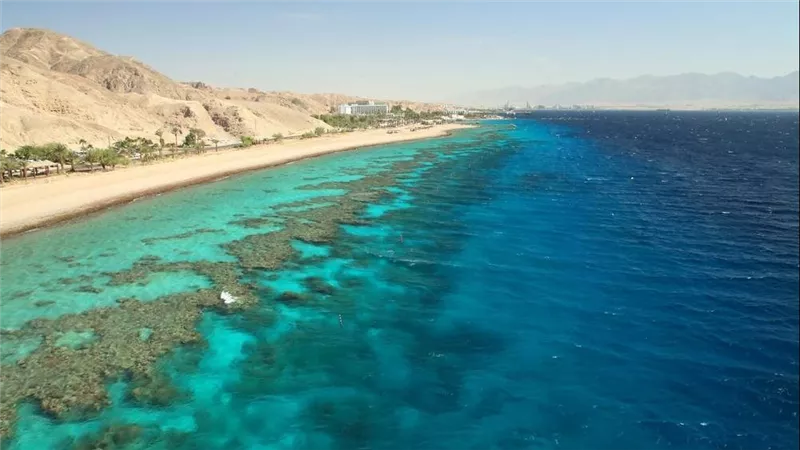الأردن يحتفي بإدراج محمية العقبة البحرية على قائمة اليونسكو للتراث العالمي