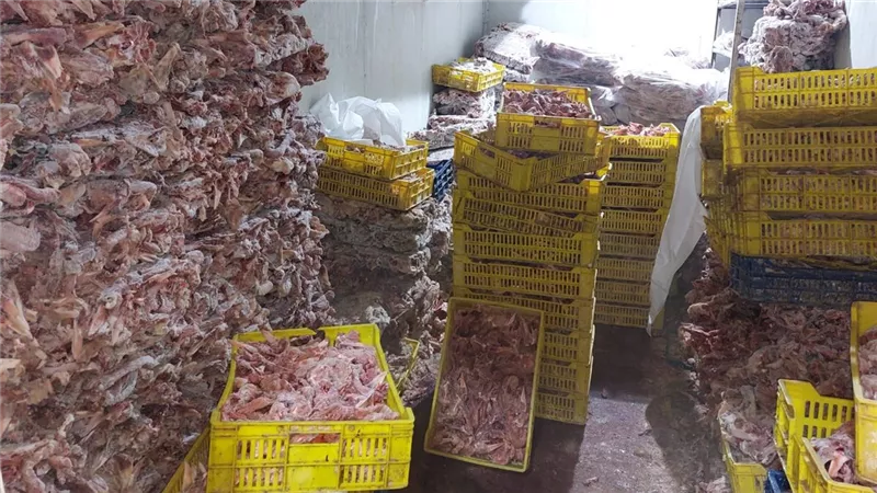 ضبط 28 طن لحوم وأغذية فاسدة و36 ألف زجاجة مشروبات طاقة مجهولة بمحافظة الجيزة