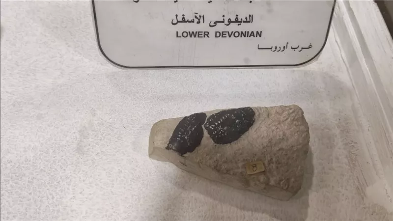 أحفورة تكشف بقايا أسماك عديمة الفكوك عاشت قبل مئات الملايين من السنين