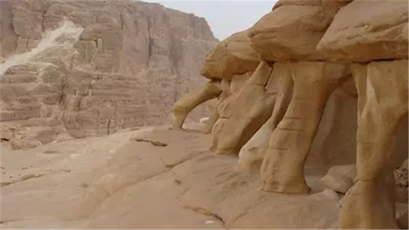 في قلب جنوب سيناء.. 