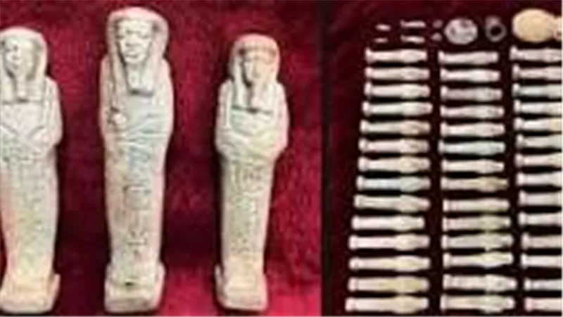 118قطعة يشتبه في أثريتها.. حكاية سقوط تشكيل عصابي في قبضة الأمن بالقليوبية