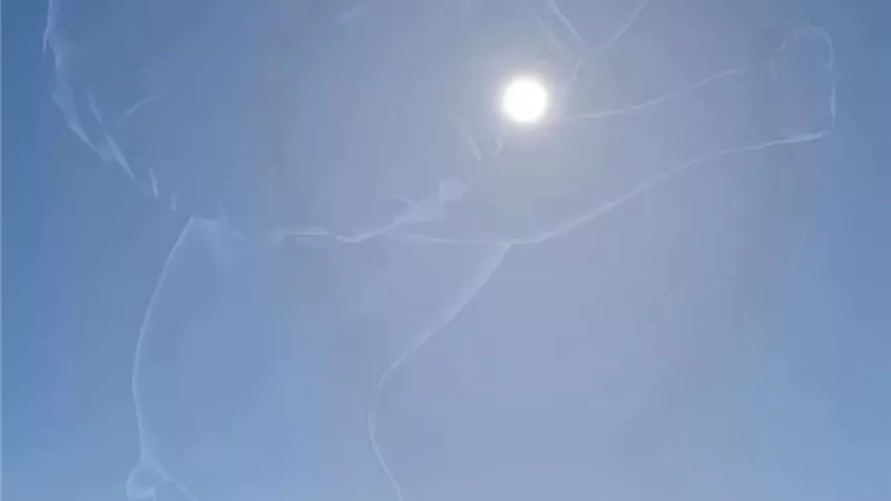 اليوم.. قلب الأسد يقترن بالشمس في ظاهرة فلكية سنوية