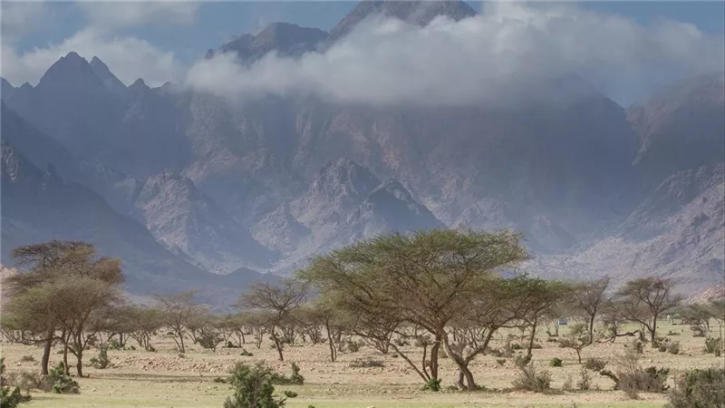 جبل علبة.. المكان الذي تلتقي فيه الصحراء بأفريقيا والبحر في مشهد واحد
