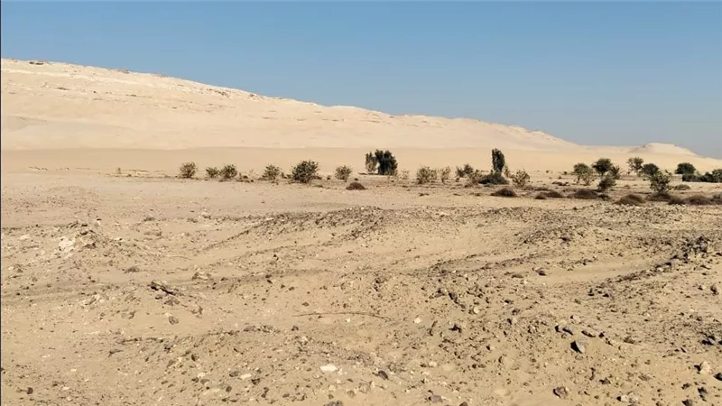 تعديات على الأراضي الأثرية بمنطقة عواجة في ديروط بأسيوط (خاص)