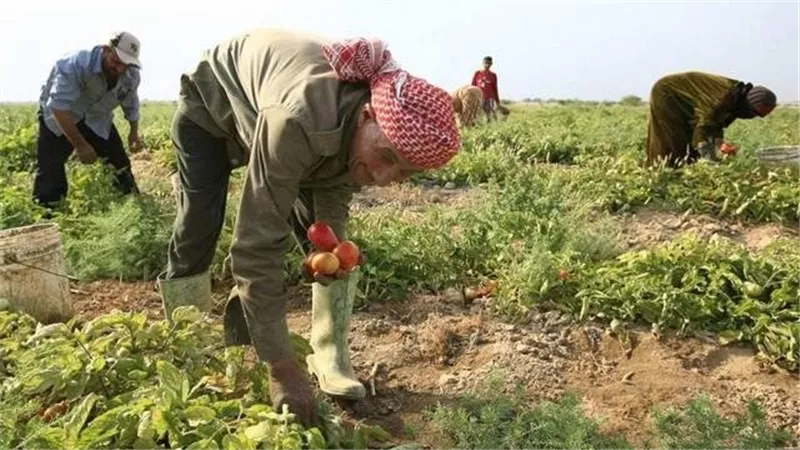مزايا لفرص العمل الزراعية في إسبانيا براتب 1200 يورو 