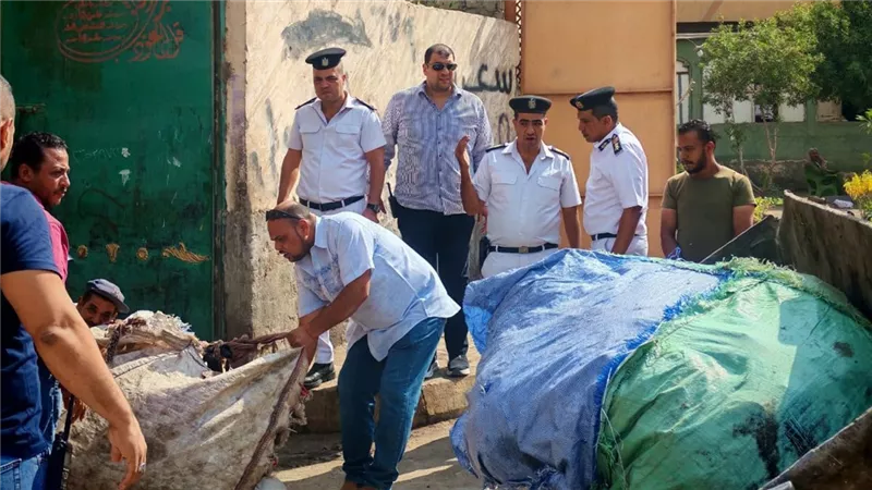 محافظة الجيزة تنفذ حملات مكبرة على مخازن الخردة بأوسيم والطالبية