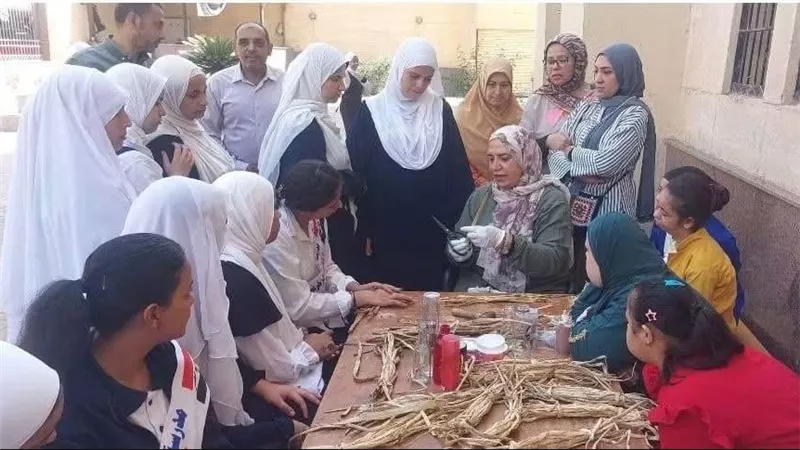متحف ملوي ينظم ورشة للفتيات لإعادة تدوير ورد النيل وتحويله إلى منتجات إبداعية 
