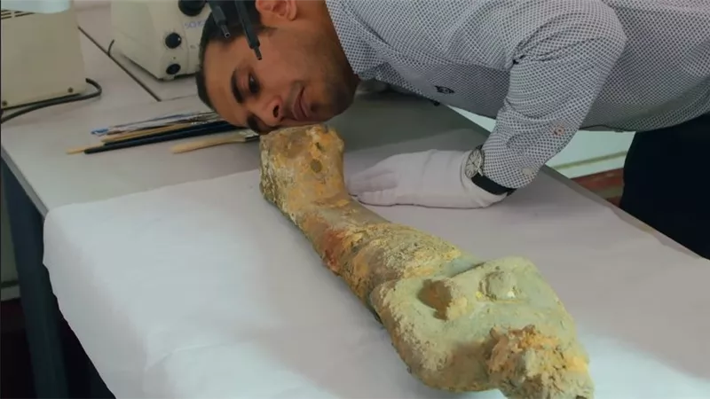 المرمم الأثري الدكتور عيد مرتاح يفحص تمثال أسوان المكتشف لتقييم حالته