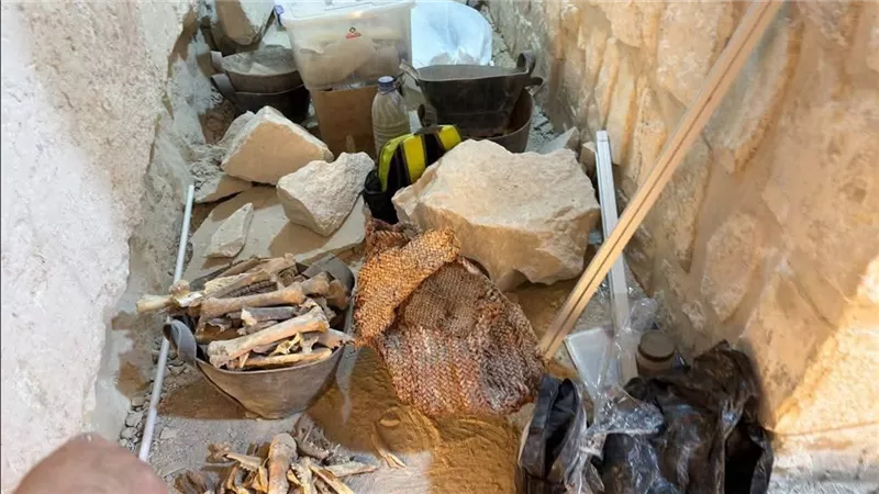 إدارة الوعي الأثري بسقارة: لم نُخطر بزيارة أبو غراب.. ونطالب بمراجعة الإجراءات