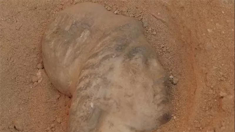 ظهور رأس تمثال أثري من أسفل الرمال خلال أعمال الحفائر.. تساؤلات حول هويته 