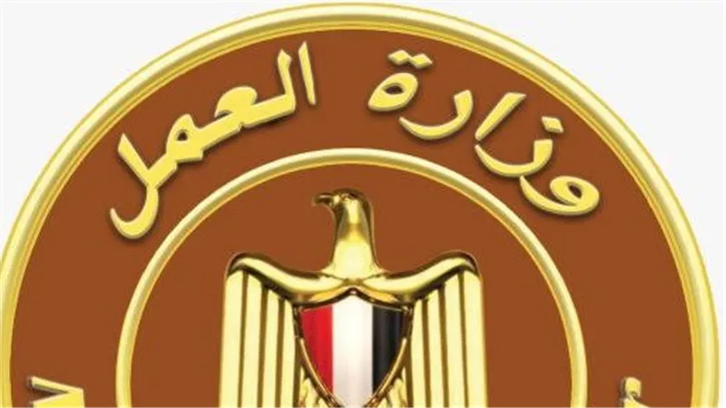 بوظائف متعددة.. 7 شروط بقانون العمل لإلحاق المصريين للعمل بالخارج
