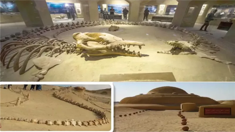 وادي الحيتان